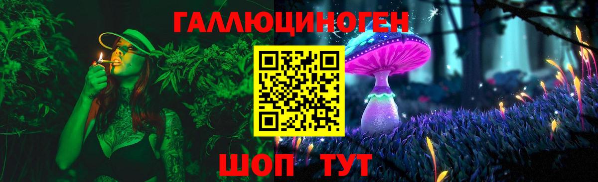 Галлюциногенные грибы GOLDEN TEACHER  Псилоцибиновые грибы GOLDEN TEACHER  как найти   Сарапул  Вход с VPN 